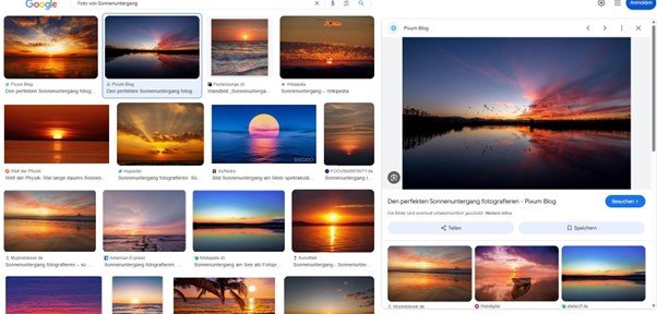 Google Bilder-Suchergebnisse.