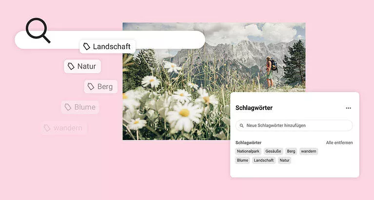 Wie funktioniert die Schlagwortsuche - Bilder mit Tags versehen