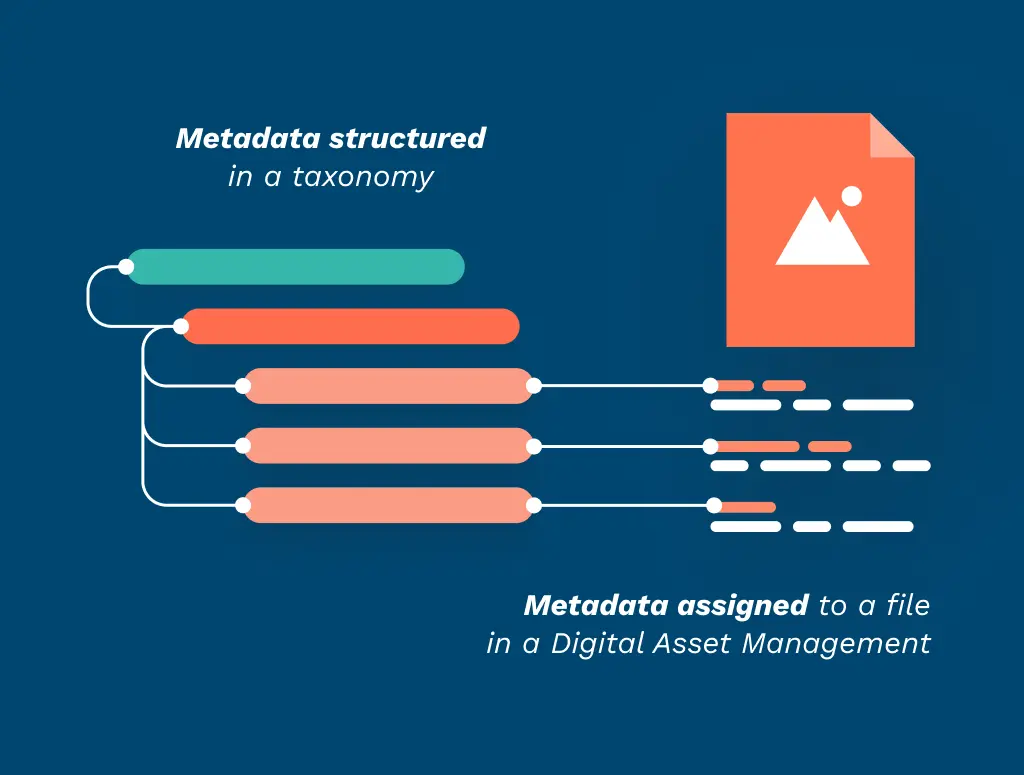 Share_metadata_taxonomy