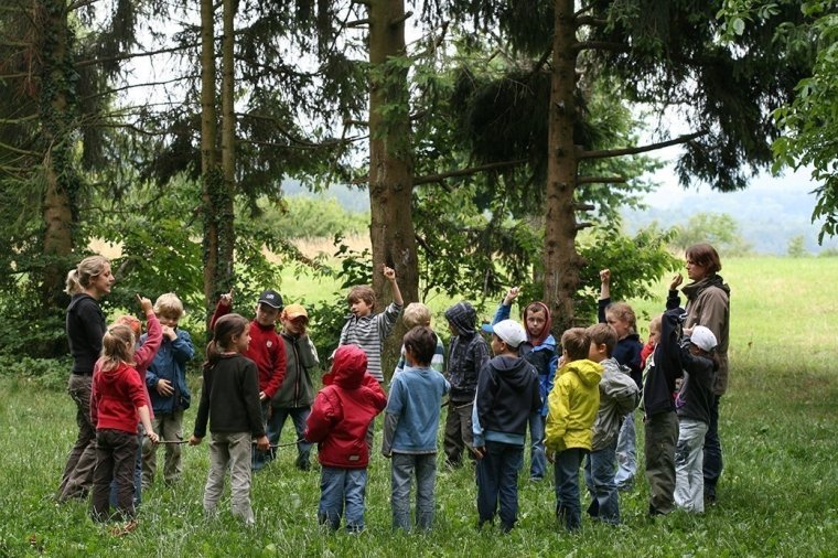 Kindergruppe im Wald - Silviva