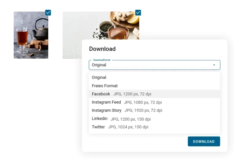Digital Asset-Management-System Downloadformate anpassen