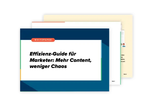 Effizienz Guide im Marketing
