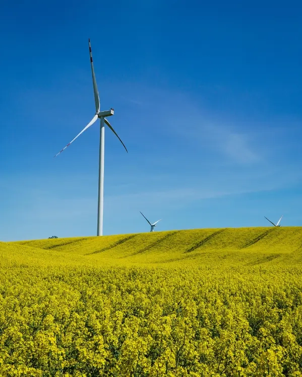 DAM für den Energiesektor