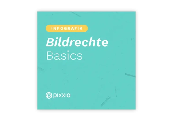Basic Tipps zum Thema Bildrechte - Infografik